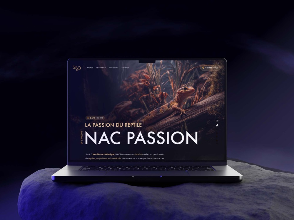 NAC Passion, Landing page redesign