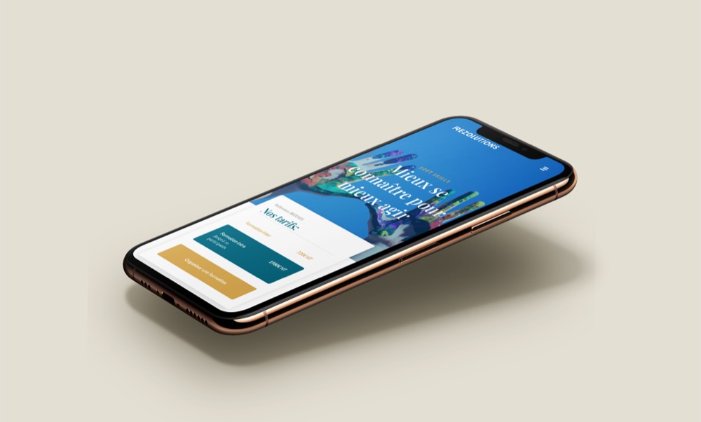 Rezolutions, Trainer website